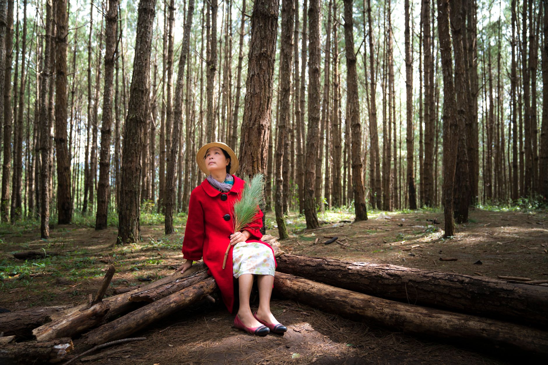 Person sitting in woodland contemplating eco anxiety UK mental health and ecological grief