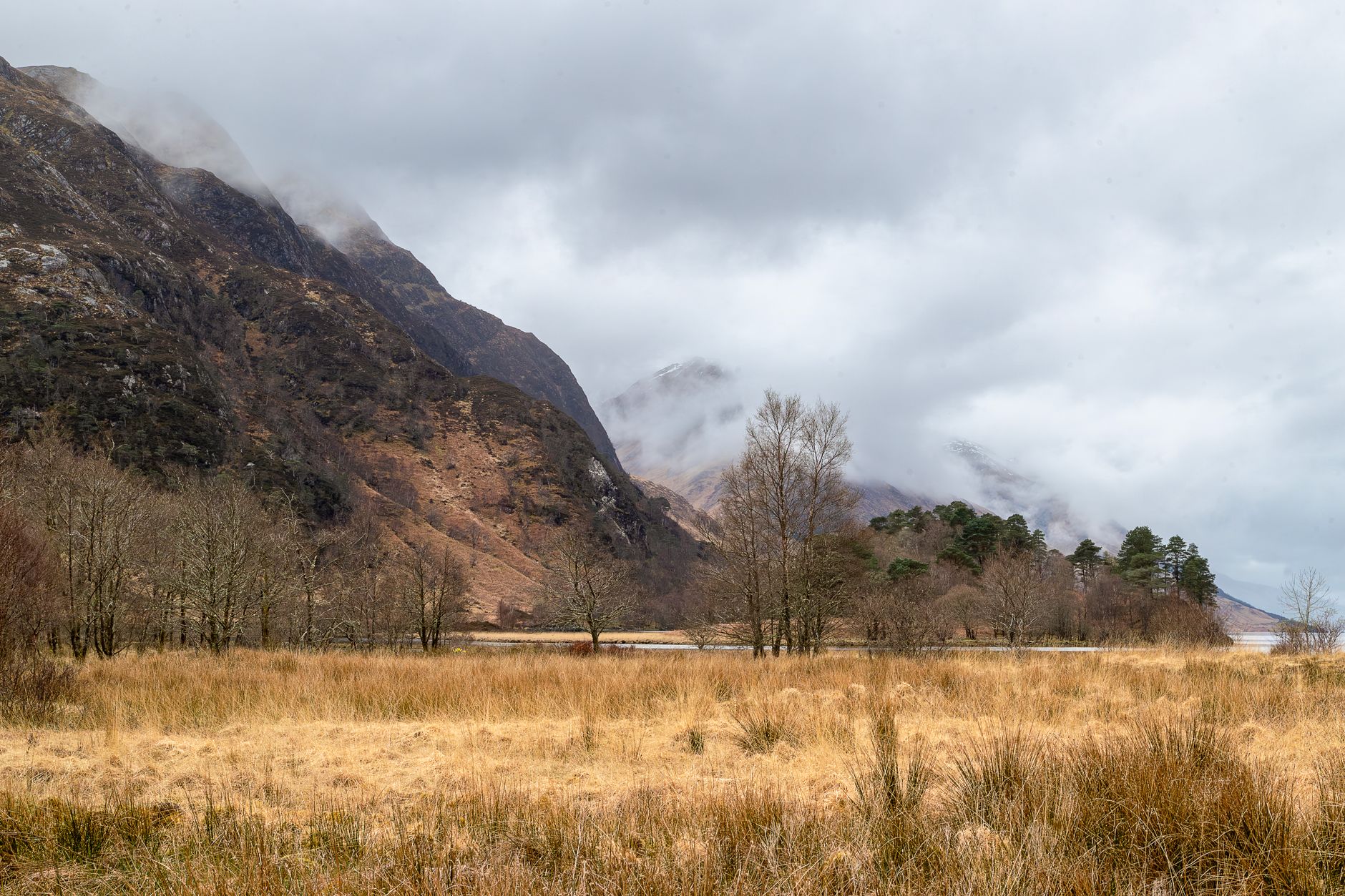 Boggy Ground and Beautiful: Why the UK’s Peatlands Are the Climate Asset We Keep Ignoring