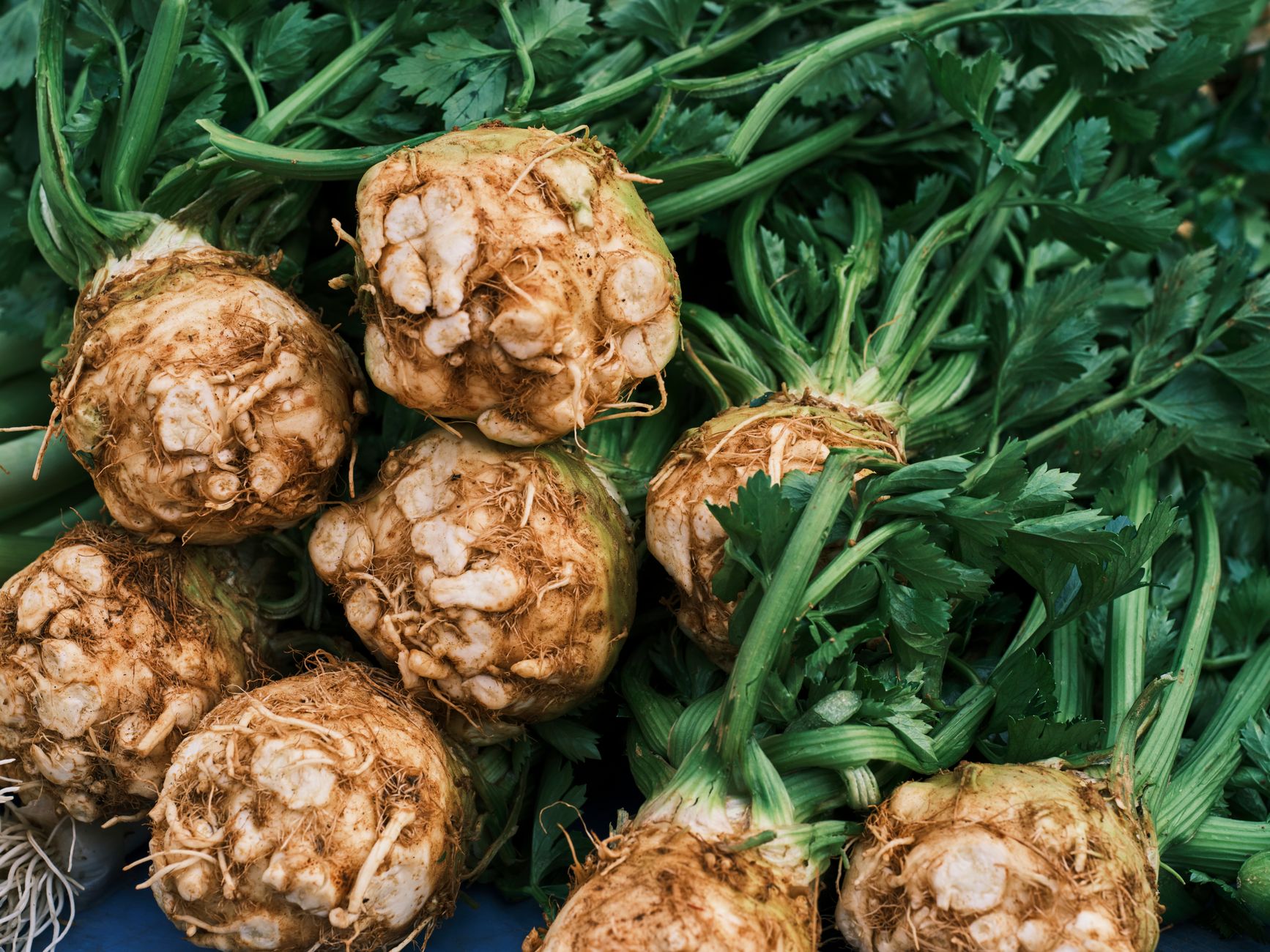 Winter root vegetables at a British farmers market, representing eating British grown food only in the UK