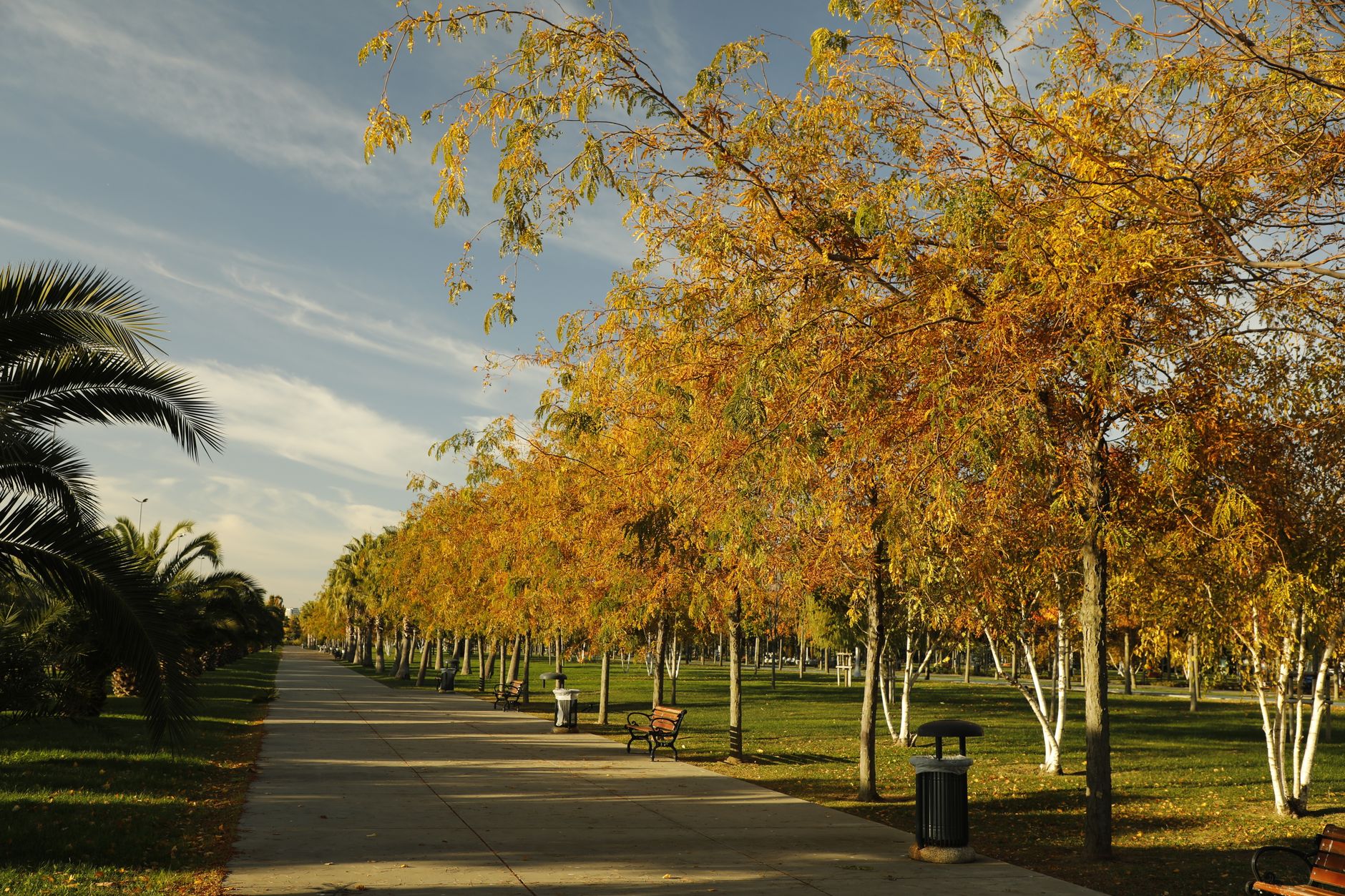 Empty park bench under trees showing the peaceful urban green spaces available for stress relief